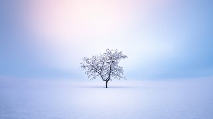 A lone snow-covered tree in a vast winter landscape