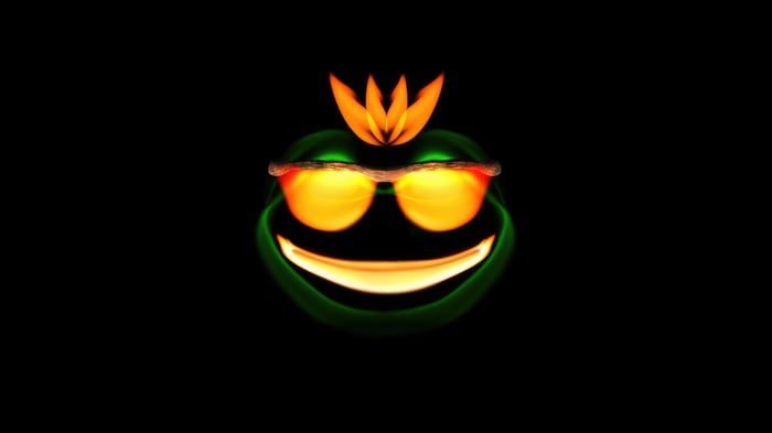 Frog with sunglasses and a flower crown