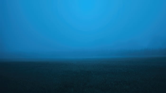 Misty field with trees in the distance