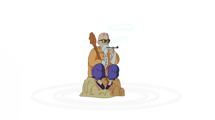 Master Roshi from Dragon Ball Z sitting on a rock