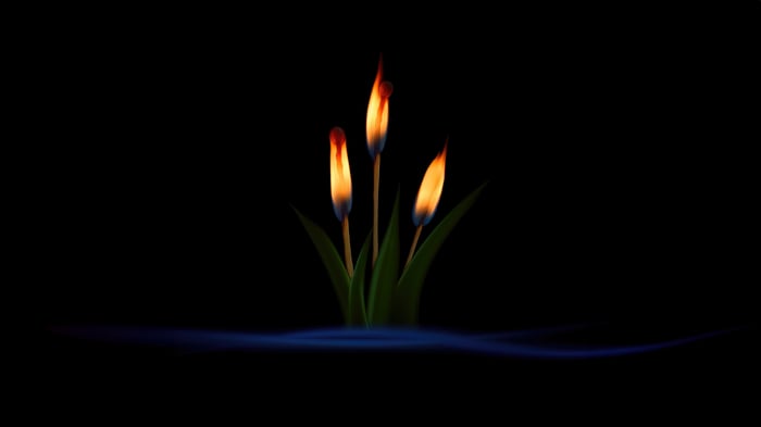Three burning matches with green leaves