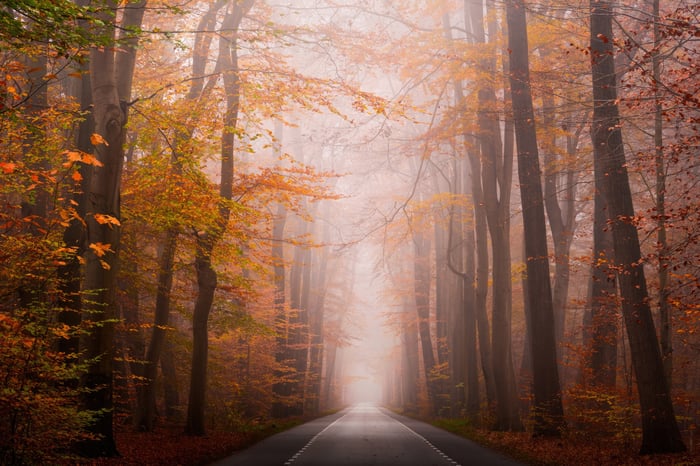 Road through an autumn forest with fog