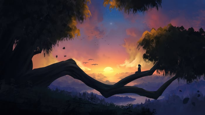 Silhouette of a person sitting on a tree branch watching the sunrise