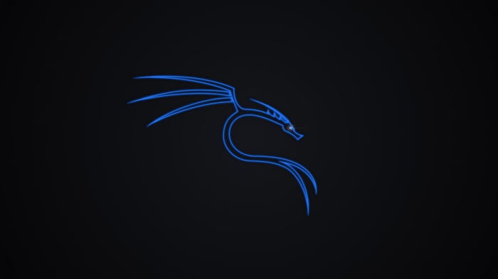 Kali Linux Dragon Logo