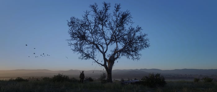 Red Dead Redemption 2 Tree with Hanging Objects