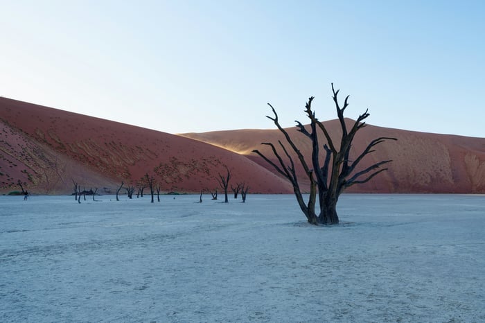 Dead trees in the desert landscape of Sossusvlei