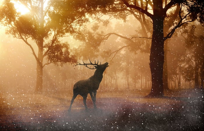 Reindeer in a dreamy, snowy forest at sunset