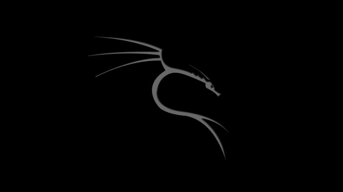 Kali Linux Dragon Logo
