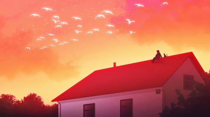 Person and cat on a rooftop with birds flying