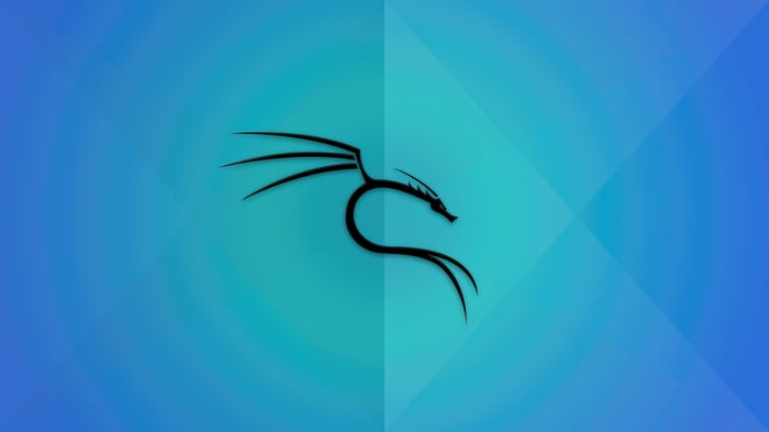 Kali Linux Dragon Logo on Blue Background