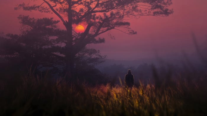 Person standing in a field at sunset