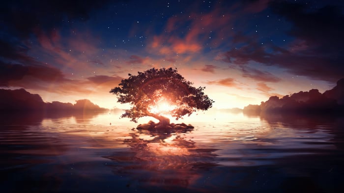 A Lonely Tree in a Surreal Sunrise Over Water
