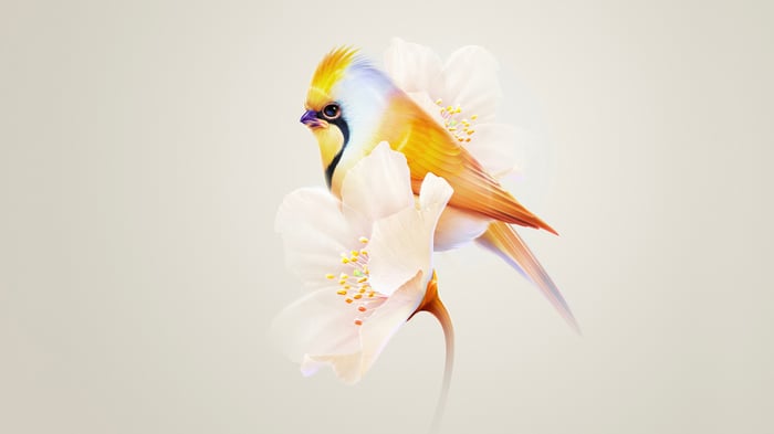 A colorful bird perched on delicate white flowers