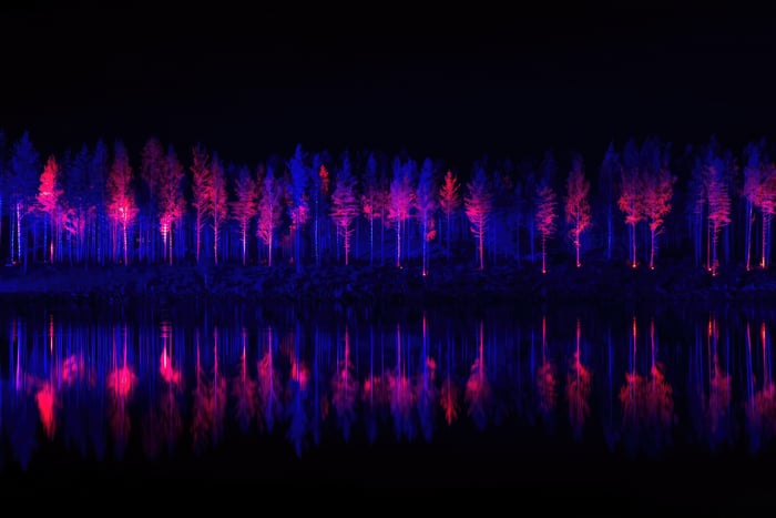Trees lit with neon lights reflected in water at night