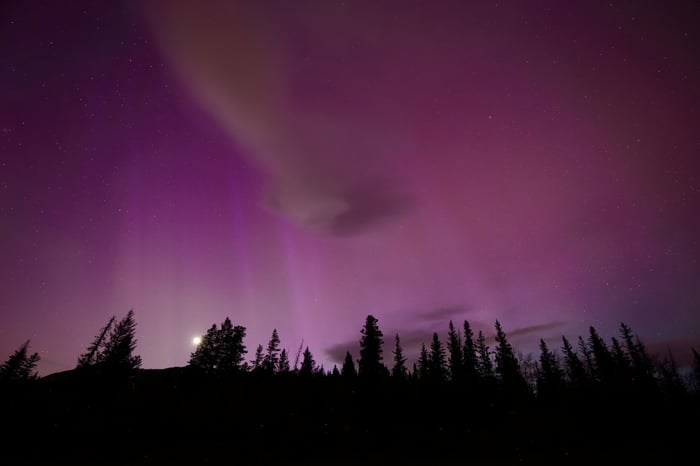 Aurora Borealis over a silhouetted forest