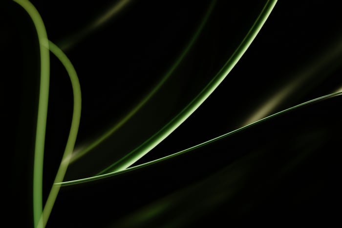 Green plant stems against a dark background