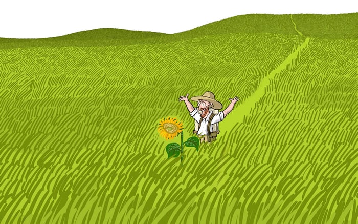 Happy farmer in a field with a sunflower