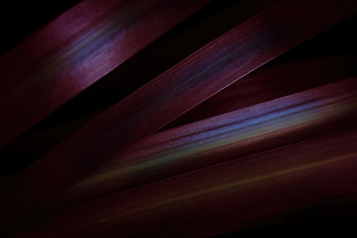 Abstract Purple Plant Leaves