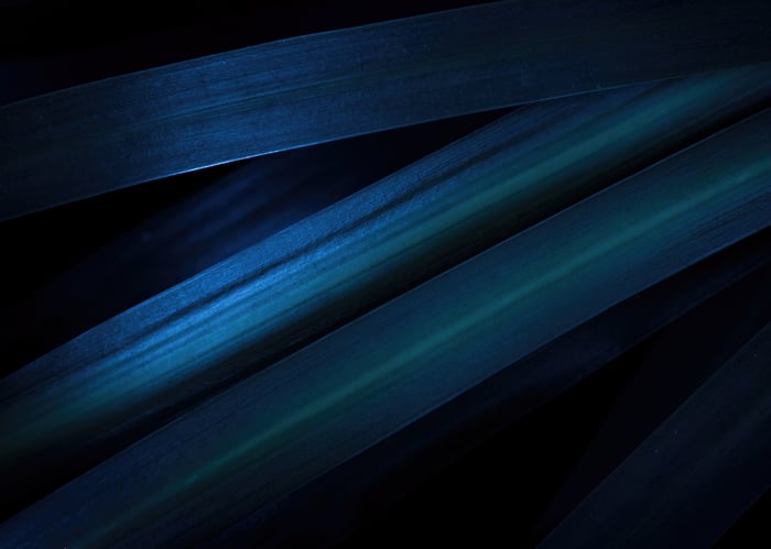 Abstract dark blue and green plant leaves
