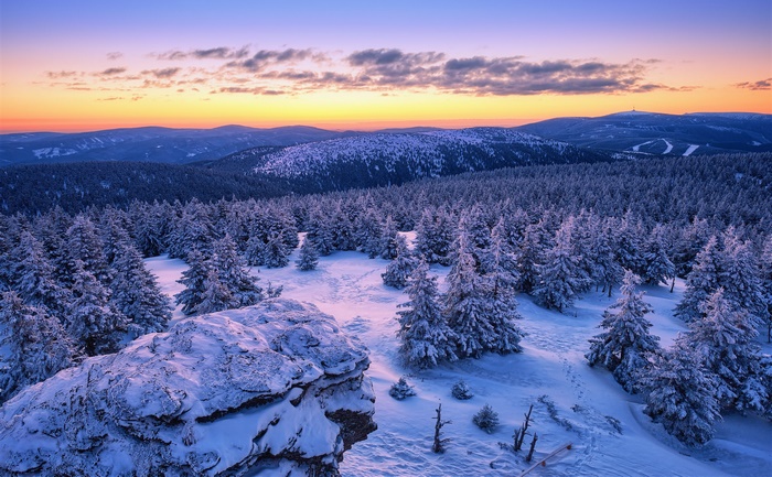 Snowy forest landscape at sunset in the Czech Republic