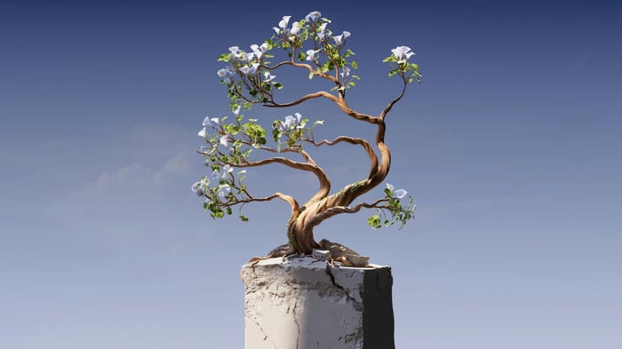 A twisted bonsai tree with white flowers on a pedestal