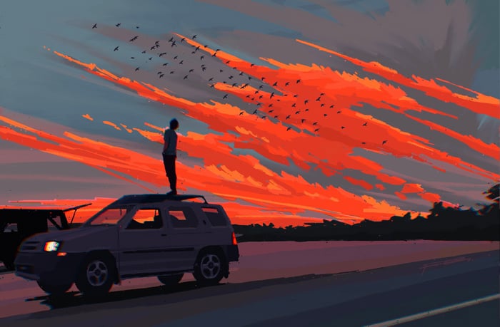 Person Standing on Car Under Fiery Sky with Birds