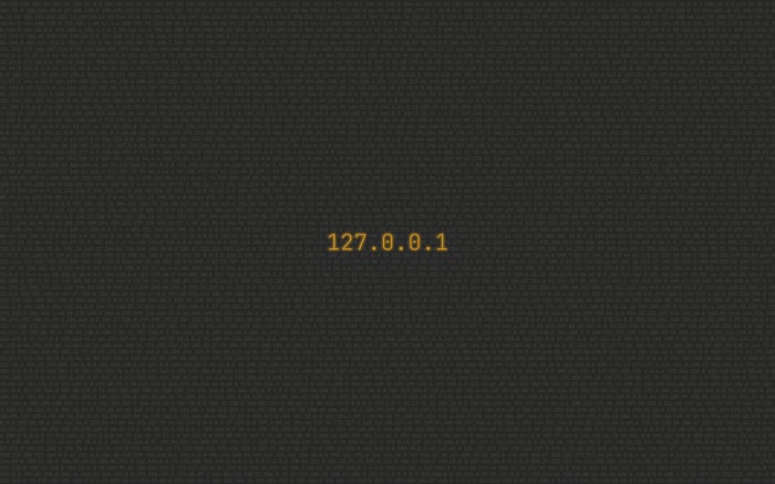 127.0.0.1