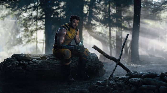Wolverine sitting on a log in a forest