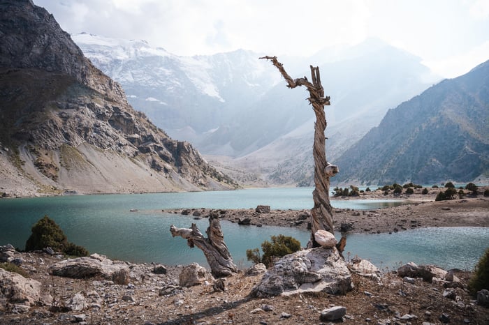 Dead Juniper Tree at Fann Mountains Lake