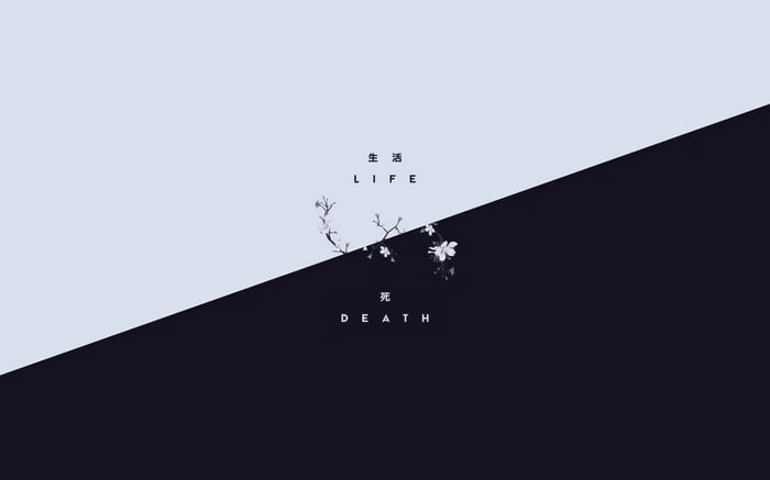 Life and Death Minimalist Design with Cherry Blossoms