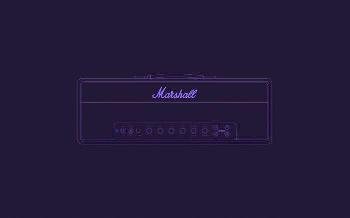 Marshall amplifier with inputs and controls