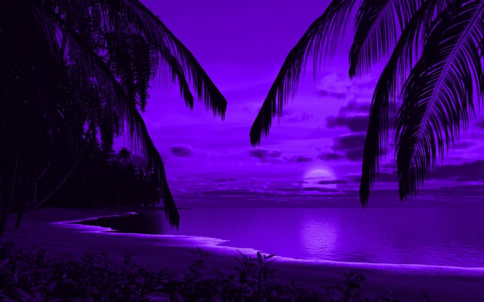 Purple sunset over a tropical beach with palm trees