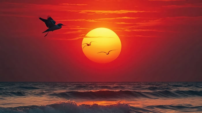 Birds flying over the ocean at sunset