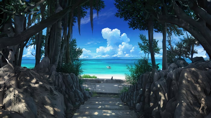 Cat watching the ocean from a beach