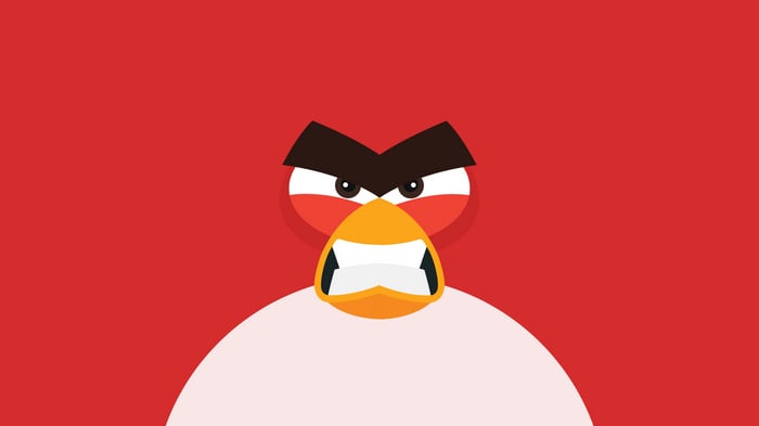 Red Angry Bird Close-up