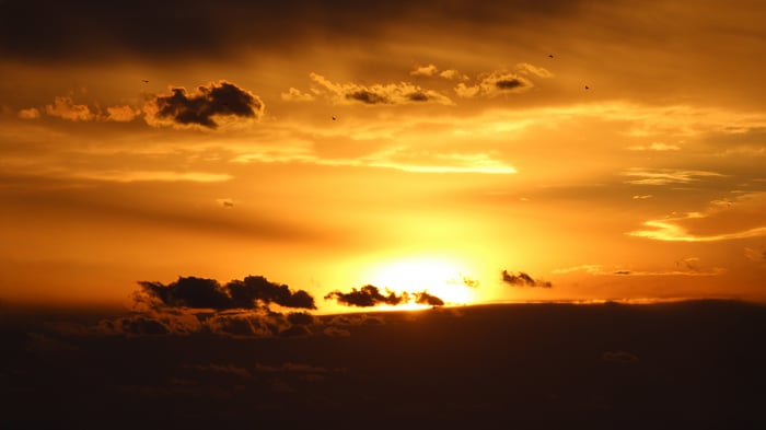 Golden Glow at Dusk with Birds