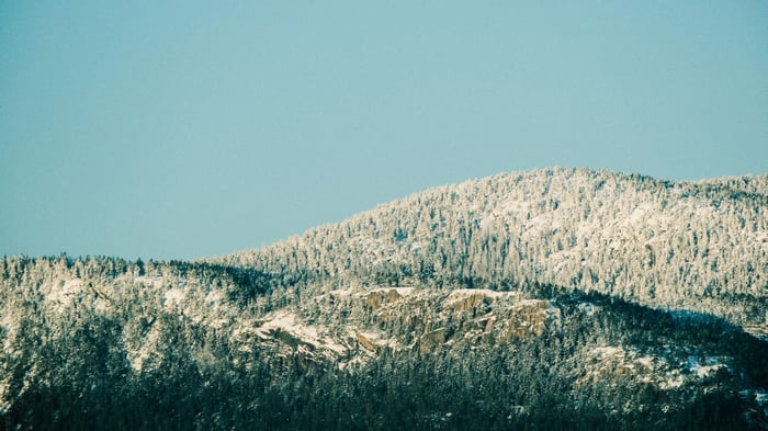 Snow-covered mountains and trees under a clear sky