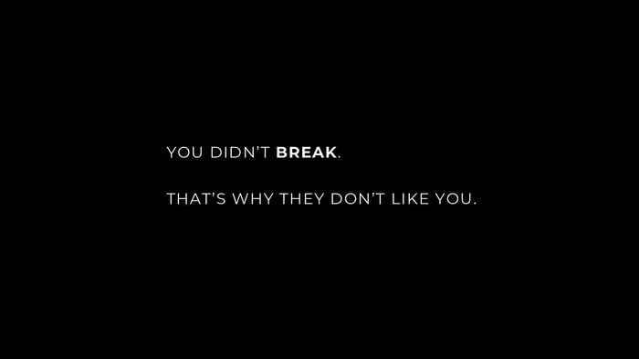 You Didn't Break. That's Why They Don't Like You.