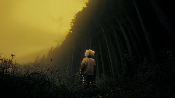 Child with box head in a dark forest