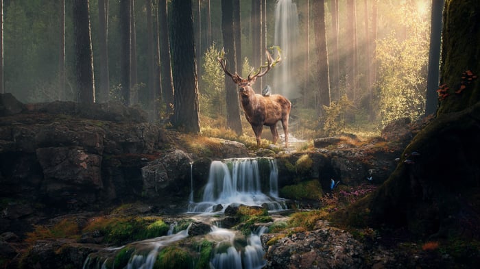 A majestic deer stands by a waterfall in a sunlit forest