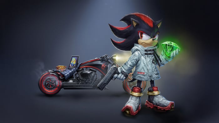 Shadow the Hedgehog with a motorcycle and Chaos Emerald