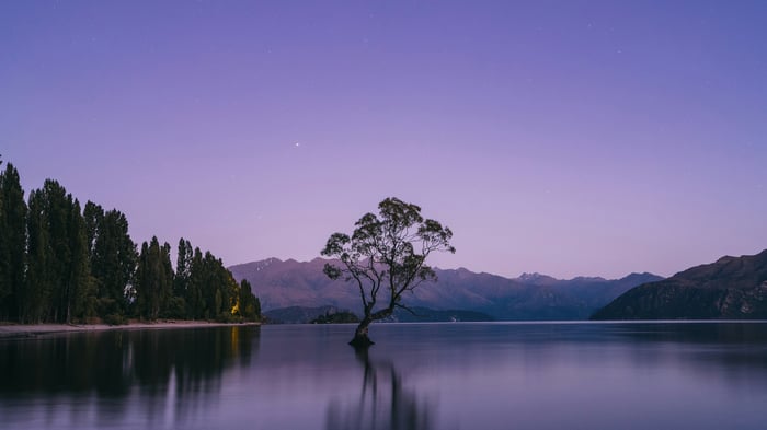 A lone tree in a lake at dusk