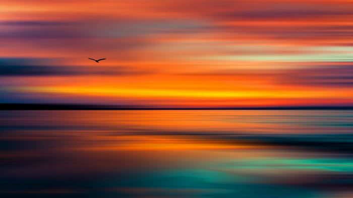 Bird flying over a lake at sunset