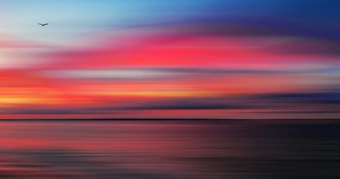 Bird flying over a colorful abstract sunset over water