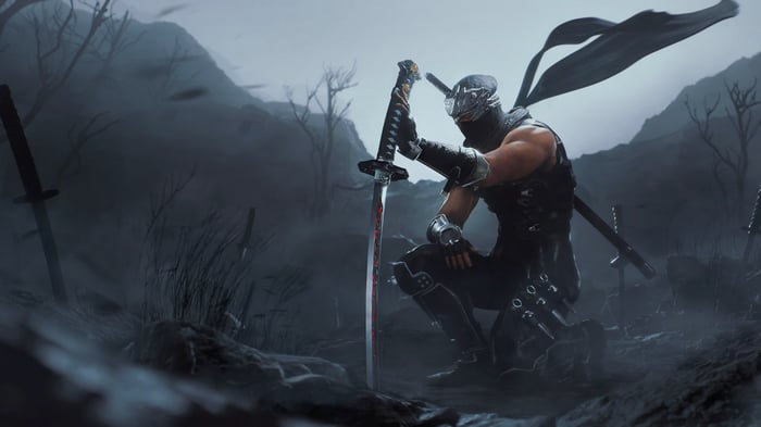 Ninja Gaiden 2 Black Ryu Hayabusa