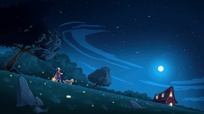 Night Walk With The Fireflies