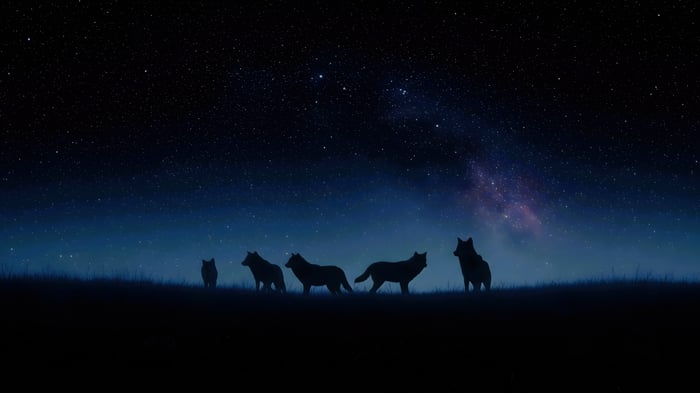 Wolves silhouetted against a starry night sky