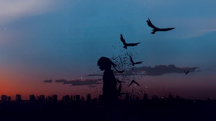 Silhouette of a girl dissolving into birds at sunset