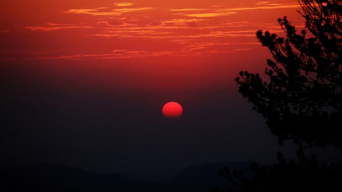 Sunset during golden hour with tree silhouette