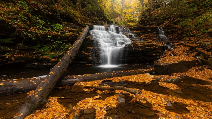Waterfall in Autumn Forest with Fallen Logs